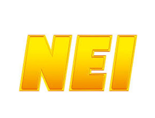Logo_NEI